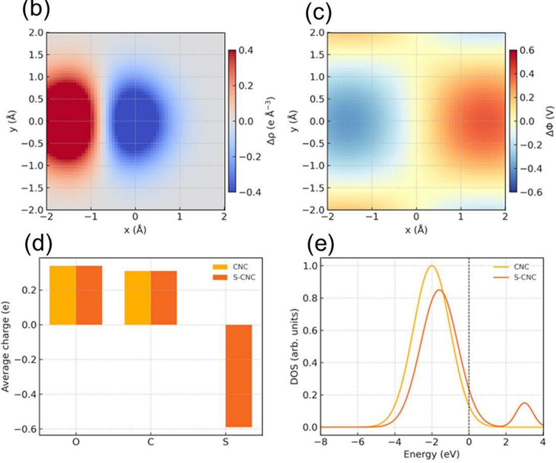 DFT maps of charge density difference and electrostatic potential difference, Bader charges and projected density of states for pristine and sulfated cellulose nanocrystals